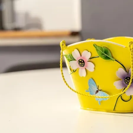 Апартаменты La Stella Del Luxe