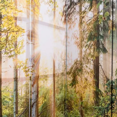 La Stella Del Luxe Арона